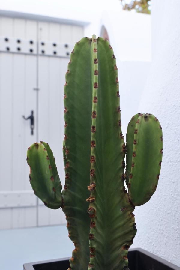 Aidos Villa Santorini Megalochori  Luaran gambar